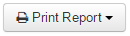Print_Term_Reports_2