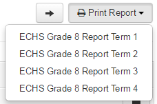 Print_Term_Reports_4